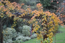 fin automne,décos Noel,Lalinde by night 110.JPG