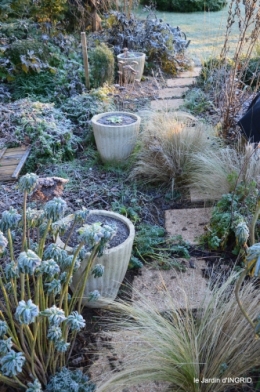 colline,jardin givré 002.JPG