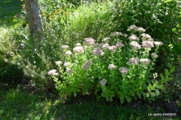 jardin ,bouquet 015.JPG