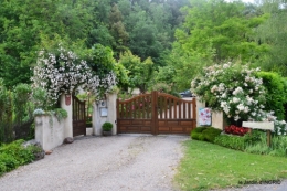 roses,visiteuses,Sophie 035.JPG