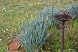 grues ,jonquilles,violettes,Nikky 029.JPG