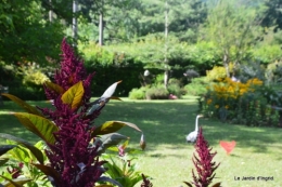 hemerocalles,sentier des cygnes,albizias,bouquet dahlias 118.JPG