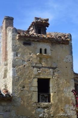 La Romieu,Coursiana,chez Renée,Ginkgo biloba 039.JPG
