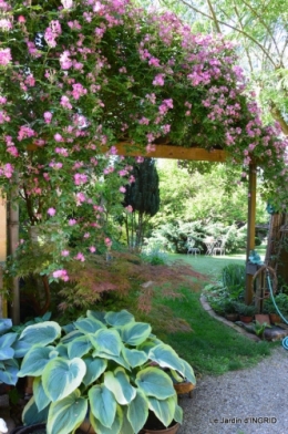roses,marguerites,MOI,fêtes des mères avec les enfants 066.JPG