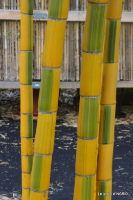 jardin de planbuisson