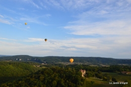 Vol mongolfière,compo fleurs grenouille 097.JPG