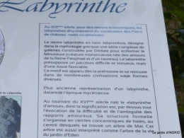cornouiller,Limeuil,Campagne, 231.JPG