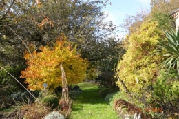 automne