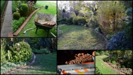 2014-10-14 jardin octobre.jpg