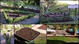2014-11-21 jardin et travaux d'automne1.jpg