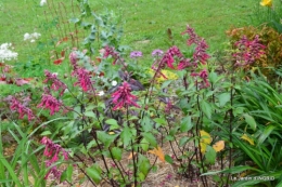 maison,jardin Bernadette,et jardin Claudine 035.JPG
