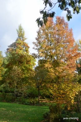 DSC_0323.JPG