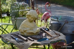 les cygnes ,le coulobre,Tauziat, 027.JPG