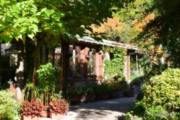 jardin octobre,chez Marylaur,Arnaud ,Ariane,la mer,sauges 222.JPG