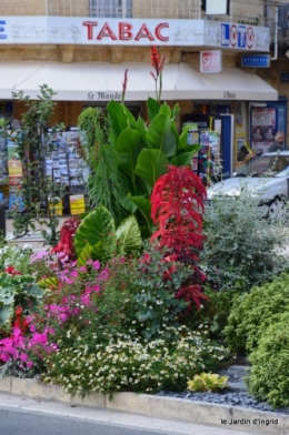 datura,papillon,Meyrals,déco Bergerac,bignonia 144.JPG