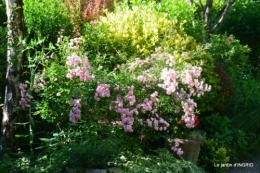 jardin fin mai,les filles 003.JPG