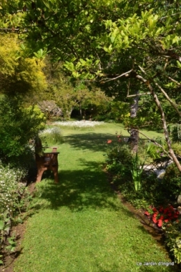 jardin avril et mai, 105.JPG