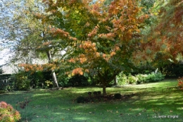 anniversaire Mamy,chateau d'eau,jardin automne 077.JPG