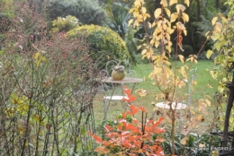 novembre en automne 127.JPG