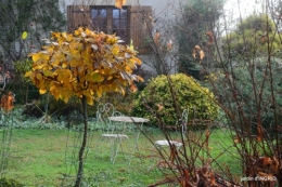 fin de l'automne,Lalinde,bouquet de l'avent 105.JPG