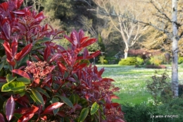 osier,jardin,decos,vieilles photos 012.JPG