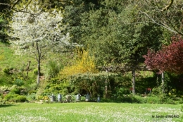 tour de jardin d'avril ,tonte 047.JPG