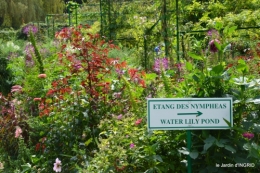 bouquet,jardin de Monet,les vaches,Pourville sur mer 038.JPG