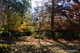 Romefort,bord de Creuse,vent,feuilles,jardin,canal 093.JPG