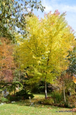 les arbres en automne,cabane 073.JPG