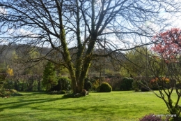 tonte,jardin,fleurettes 072.JPG