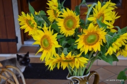 jardin,marché,vieilles photos,bignonia,gouttes,Ste Avit Seigneur 124.JPG