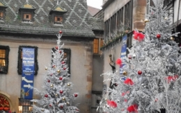 DSCN1071.JPG