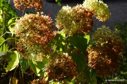 tour de jardin,bouquet,chez Bernadette, 069.JPG