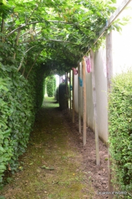 inondation,jardin,oeufs cygnes,chez Nathalie 087.JPG