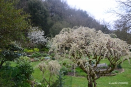 première roses,achats,jardin blanc 009.JPG