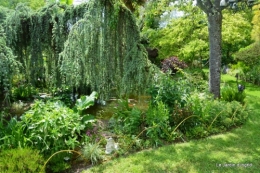 fete des fleurs Lalinde ,Cadouin,les printanières ,jardin 228.JPG