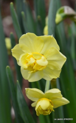 printemps,osier,tipi 029.JPG