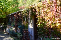 jardin automne,voisinage,canal 124.JPG