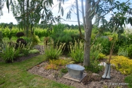 inondation,jardin,oeufs cygnes,chez Nathalie 073.JPG