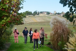 La Romieu,Coursiana,chez Renée,Ginkgo biloba 217.JPG
