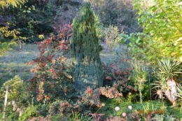 octobrejardin,citrouillesIssegeac,leCLOSdesSOURCES 174.JPG