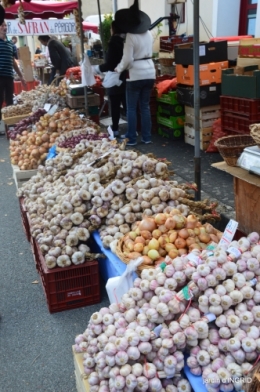 fête de la citrouille,jardinage,jardin 028.JPG