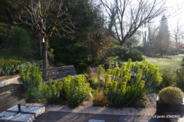 saumon,paquerettes,jardin blanc 048.JPG