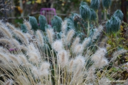 première gelée,décos Noel Jardiland Proflora 025.JPG
