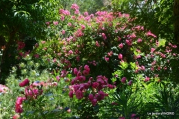 Epouvantails,ouverture,jardin 054.JPG
