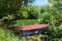 le jardin de Frescati,roses 091.JPG