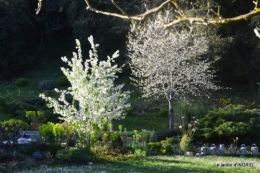 le printemps ,paquerettes,tonte,Anni. Jérome 038.JPG