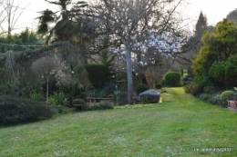 semis,taille,tonte,tour du jardin 048.JPG