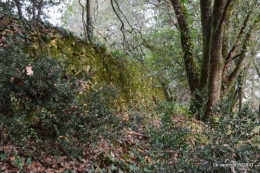 colline,crèche,taille 049.JPG