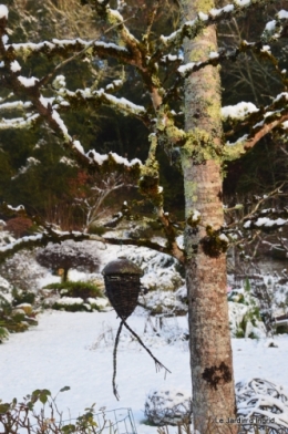 Neige en dordogne,jardin 160.JPG